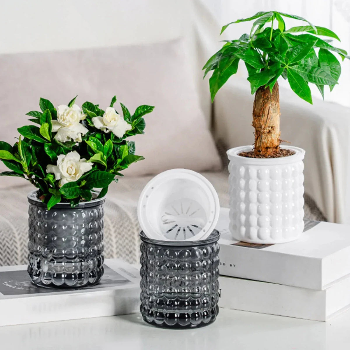 ECOBLOOM – Eco-Friendly Self-Watering Hydroponic Flower Pot for Modern Home Decor