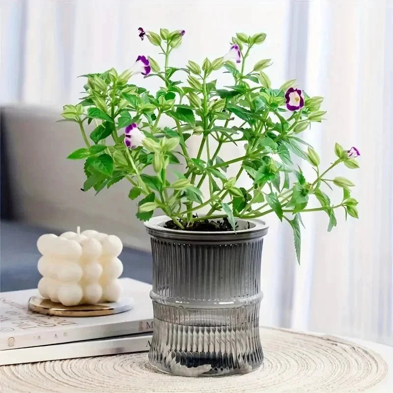 ECOROOT – Eco-Friendly Self-Watering Indoor Planter with Double Layer Design