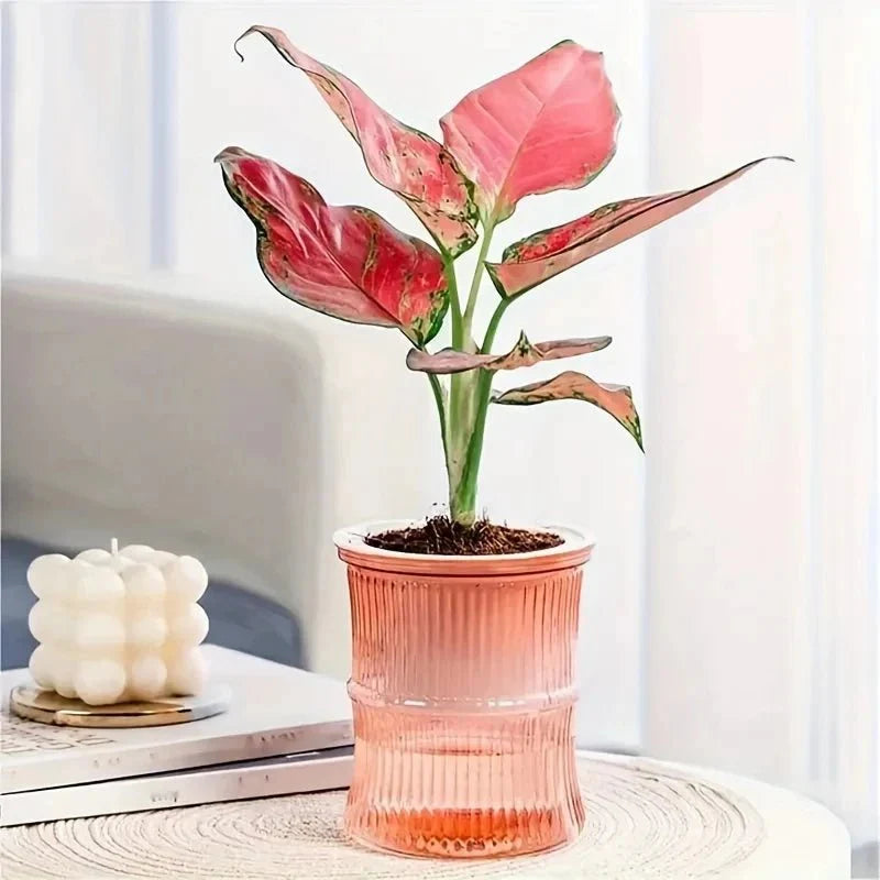 ECOROOT – Eco-Friendly Self-Watering Indoor Planter with Double Layer Design