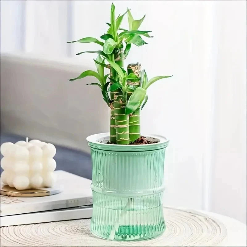 ECOROOT – Eco-Friendly Self-Watering Indoor Planter with Double Layer Design