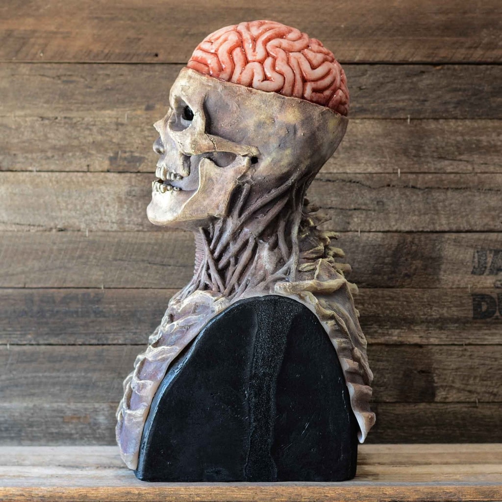 Halloween Skull Mask Horror with Exposed Brain and Chest Bib Full Head Latex Skeleton Creepy Costume