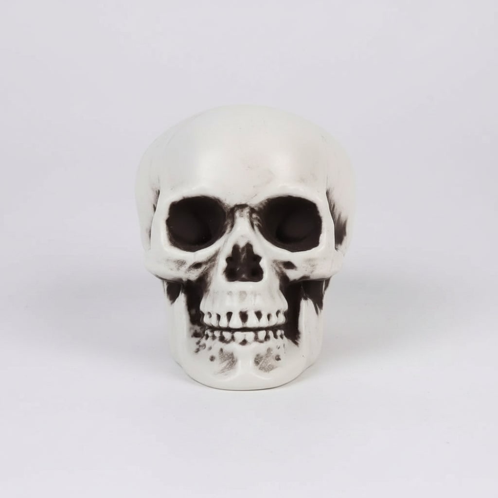 Halloween Skull Props and Sugar Decorations Set of 10 Mini Plastic for Party