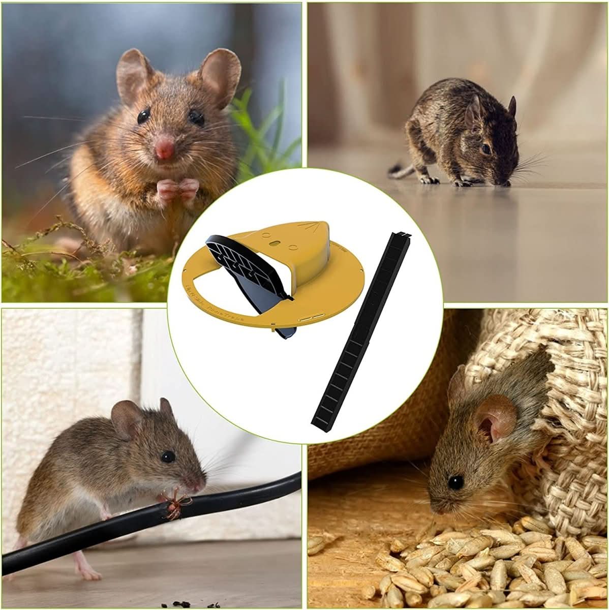 ECOCATCH – Humane Bucket Lid Mouse Trap for Multi-Catch & Release