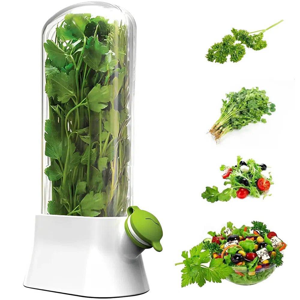 Herb and Vegetable Storage Saver
