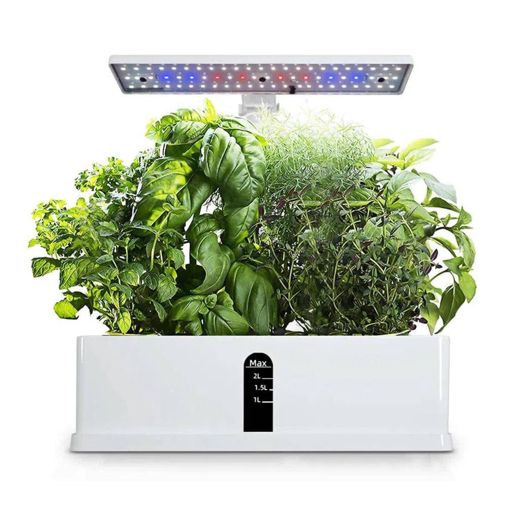 Adjustable Hydroponic Garden System with LED Grow Lights