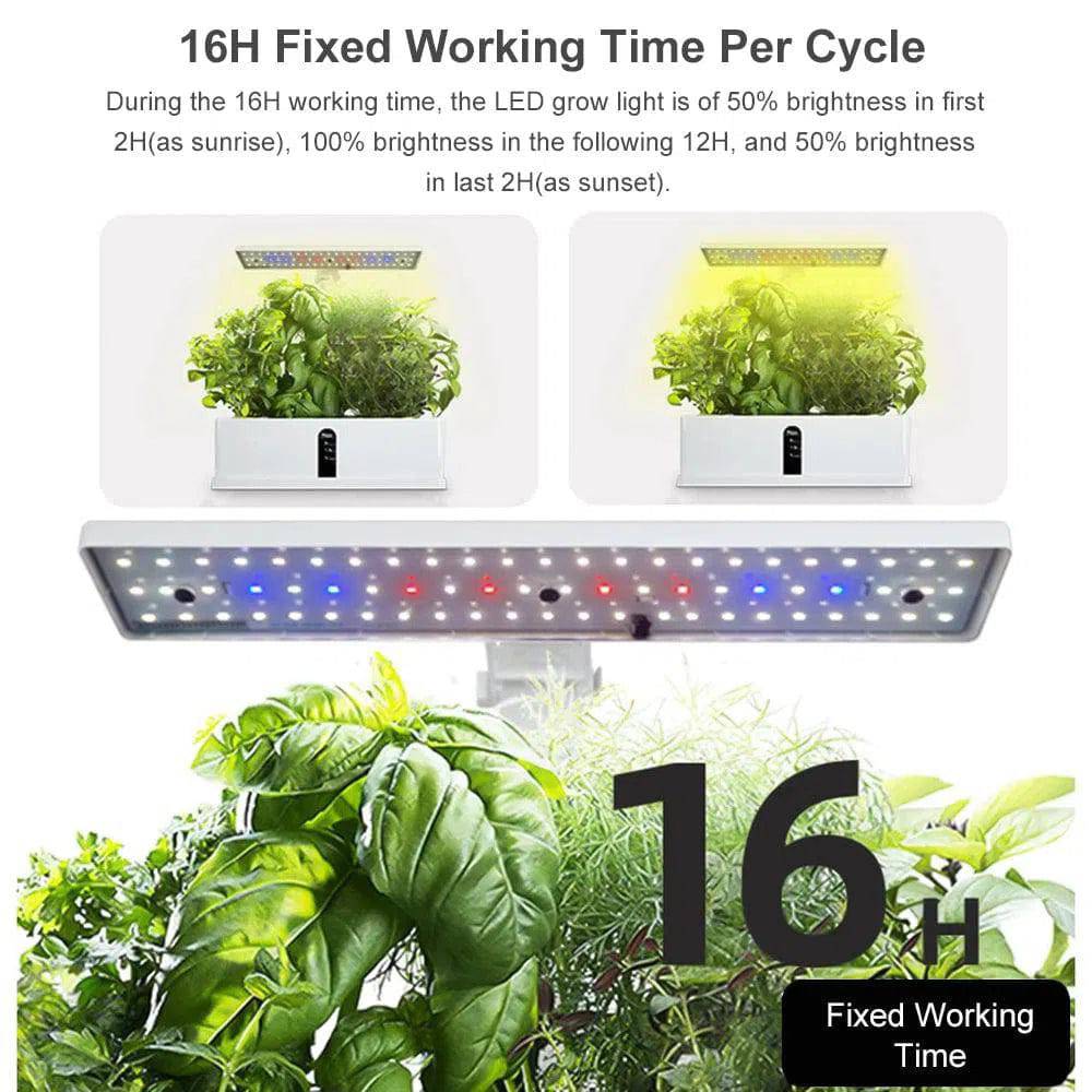 Adjustable Hydroponic Garden System with LED Grow Lights