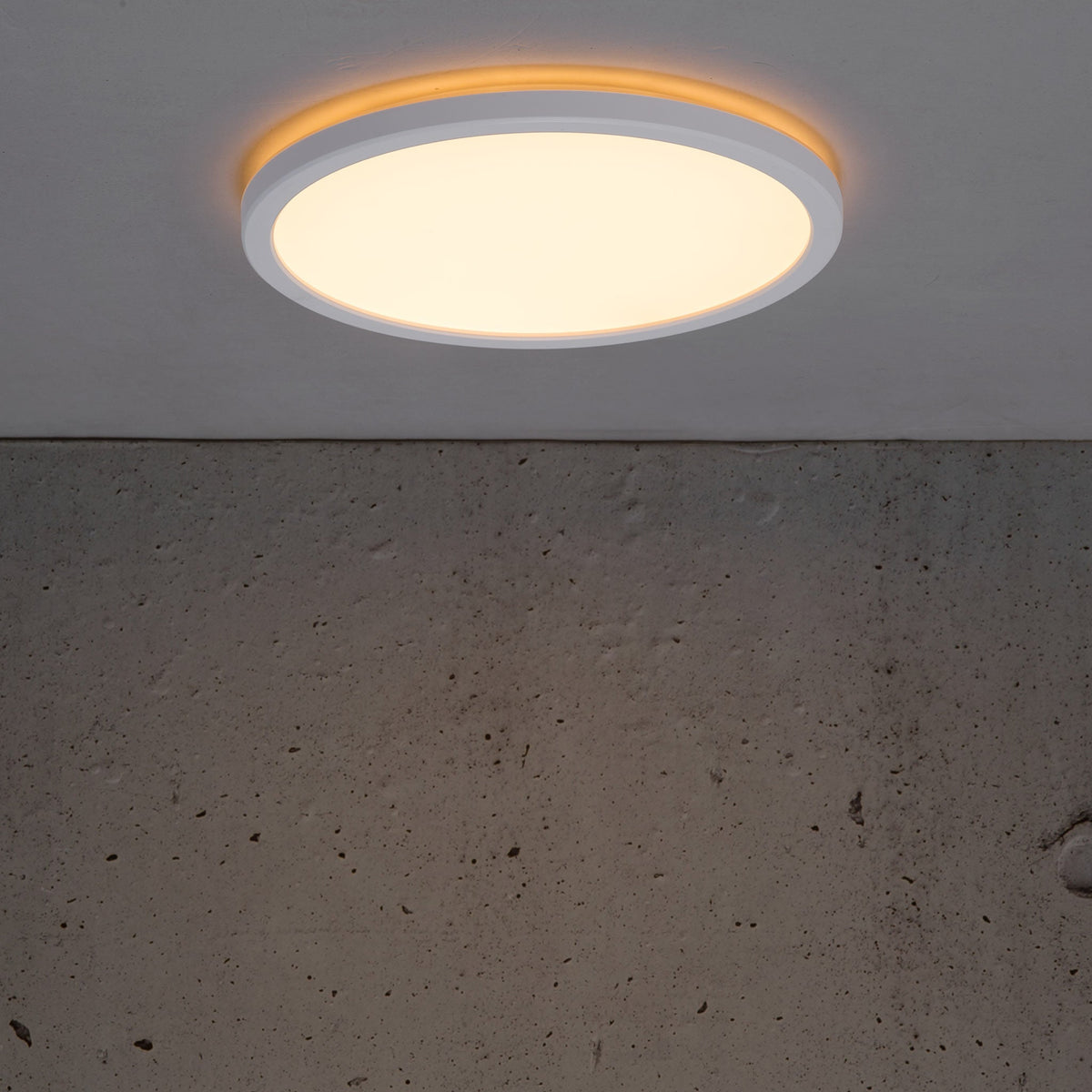 Oja 24 LED Ceiling Light