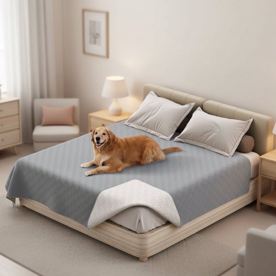 PETARMOR – Premium Waterproof Pet Blanket as Heavy-Duty Furniture Protector