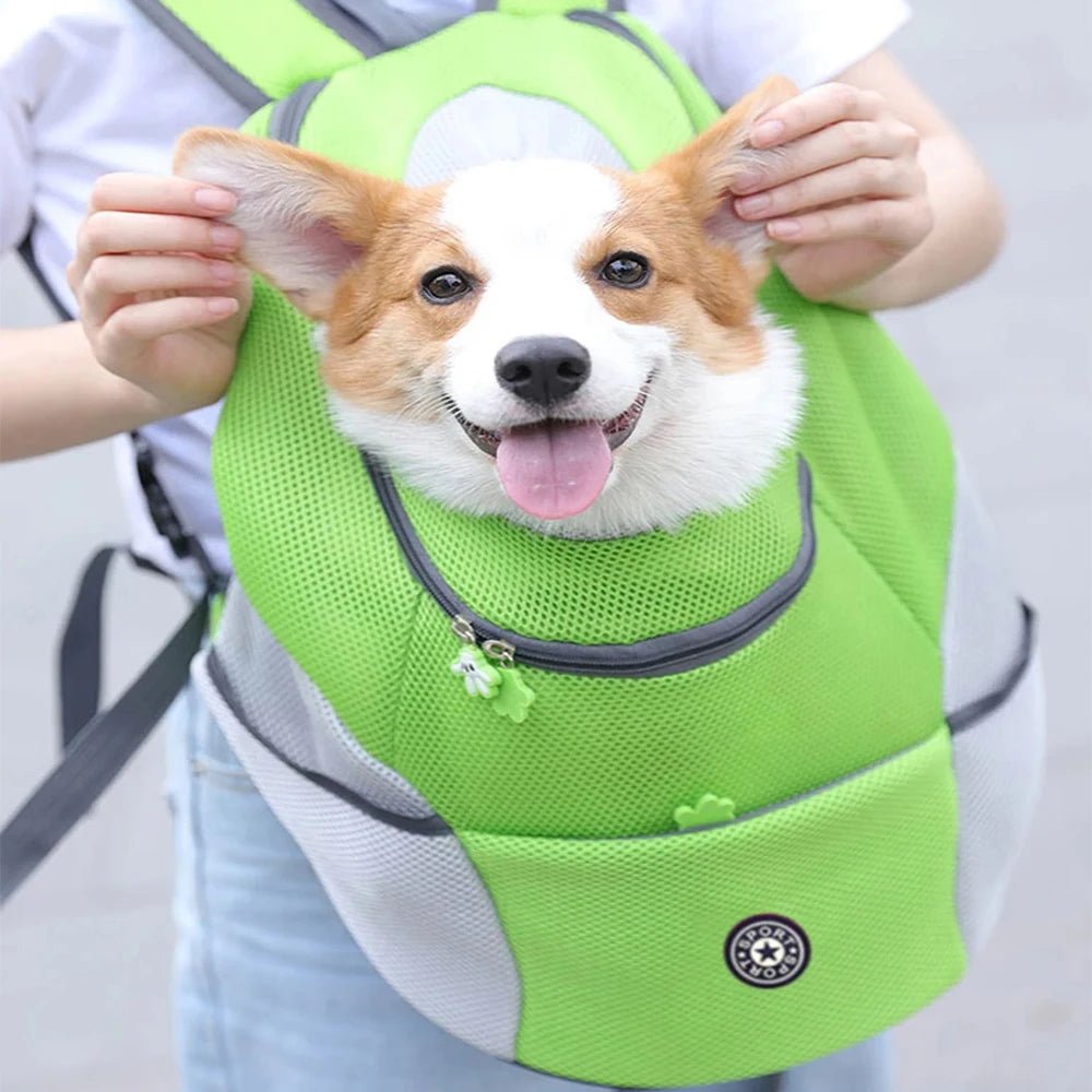 PETROAM – Lightweight Pet Carrier Backpack with Adjustable Straps & Ventilation System