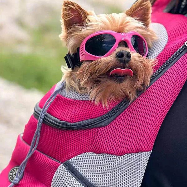 PETROAM – Lightweight Pet Carrier Backpack with Adjustable Straps & Ventilation System