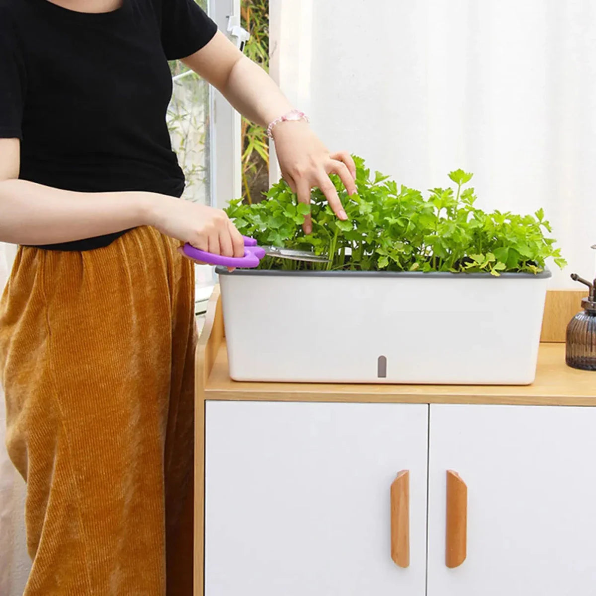 PLANTMATE – Self-Watering Planter for Consistent Hydration Control