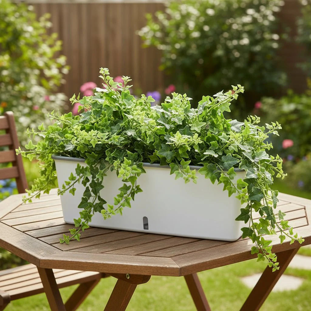 PLANTMATE – Self-Watering Planter for Consistent Hydration Control