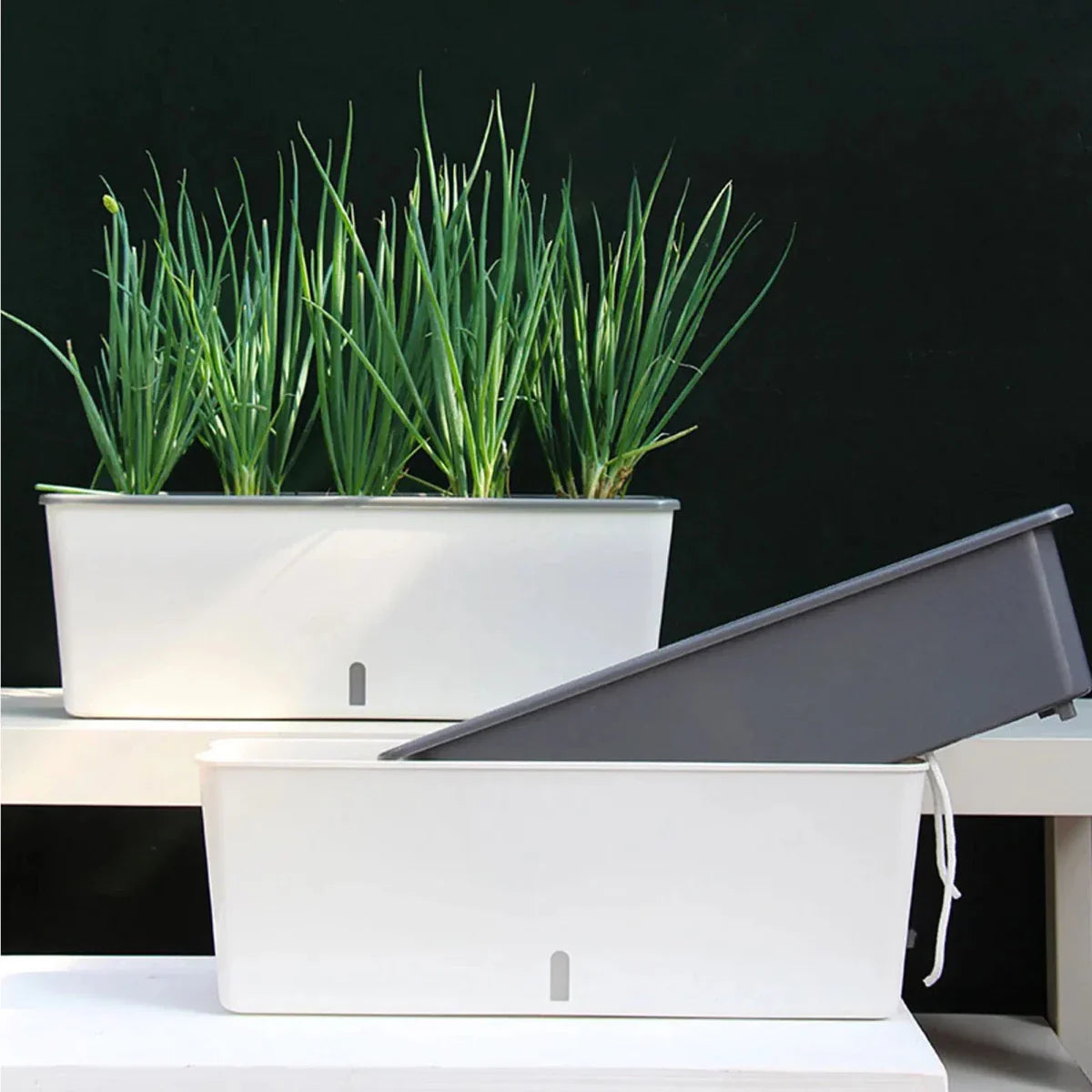 PLANTMATE – Self-Watering Planter for Consistent Hydration Control