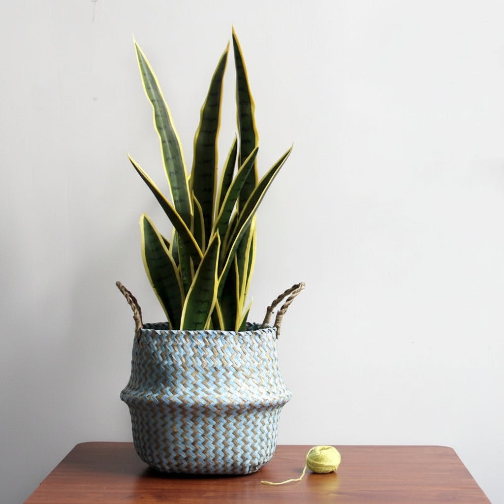 PLANTORA – Boho Handmade Wicker Basket Collapsible Flower Pot Organizer