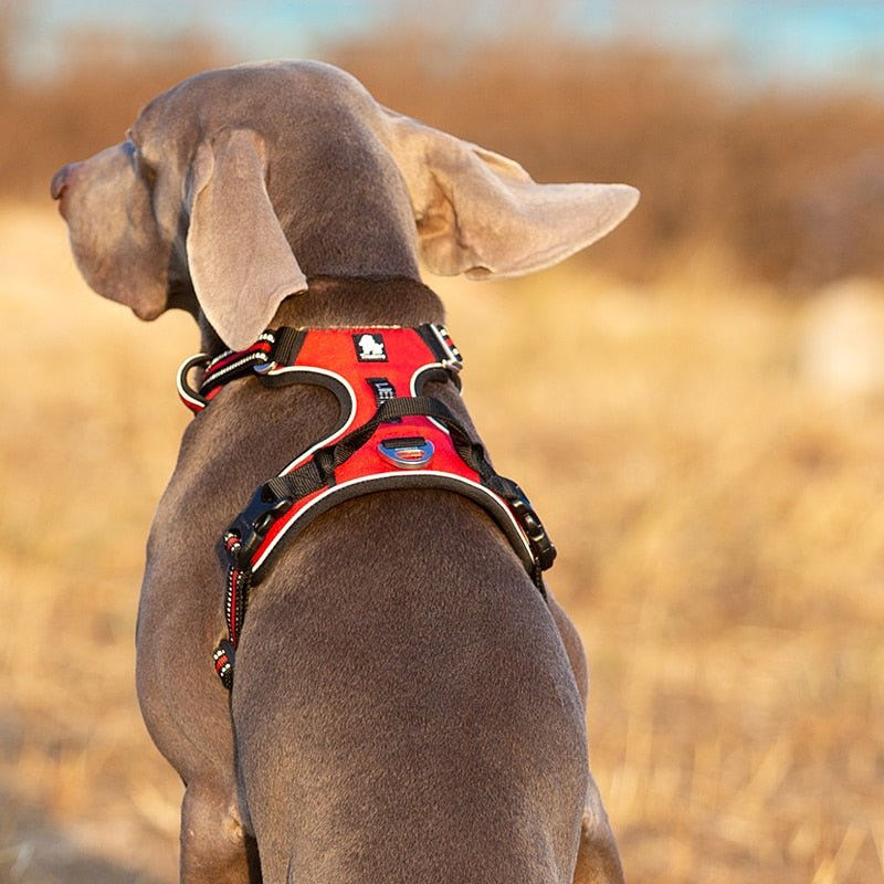 Reflective Nylon Dog Harness - Adjustable No-Pull Pet Vest with Padded Safety Straps for Small to Large Dogs - Night Visibility Walking Gear