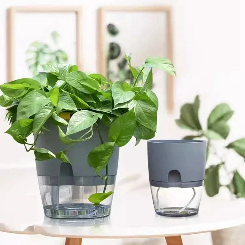 ROOTFLOAT – Self-Watering Hanging Hydroponic Pot for Indoor Plants