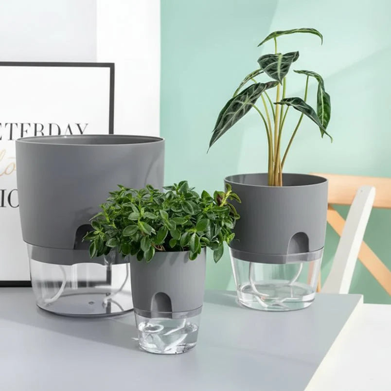 ROOTFLOAT – Self-Watering Hanging Hydroponic Pot for Indoor Plants