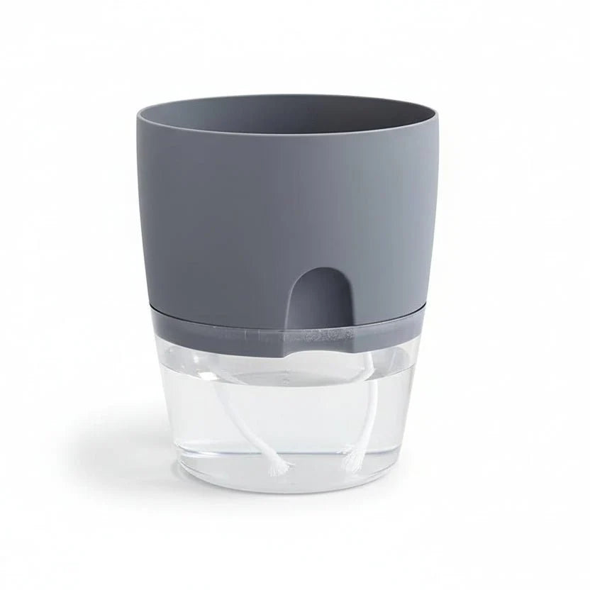 ROOTFLOAT – Self-Watering Hanging Hydroponic Pot for Indoor Plants