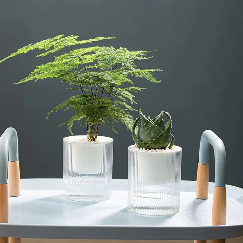 ROOTWISE – Indoor Self-Watering Planter for Effortless Hydroponic Care