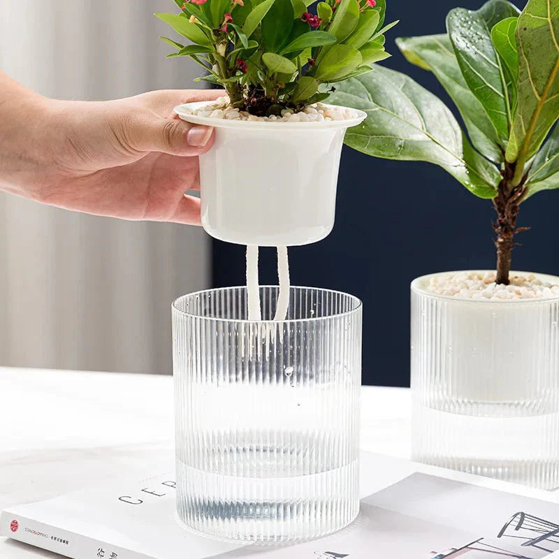ROOTWISE – Indoor Self-Watering Planter for Effortless Hydroponic Care