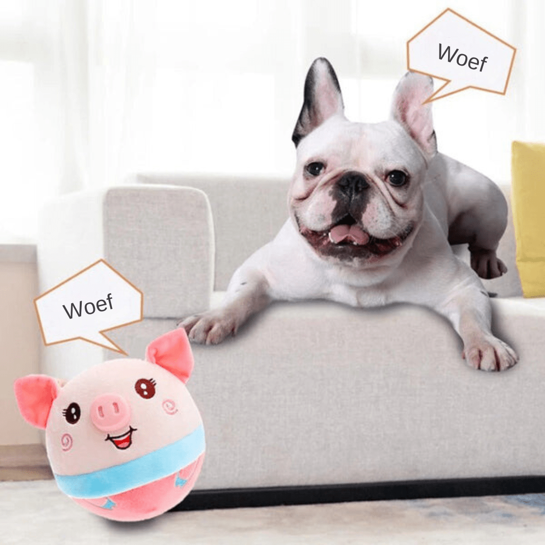 ROVER – Interactive Moving Dog Toy for Smart & Energetic Play