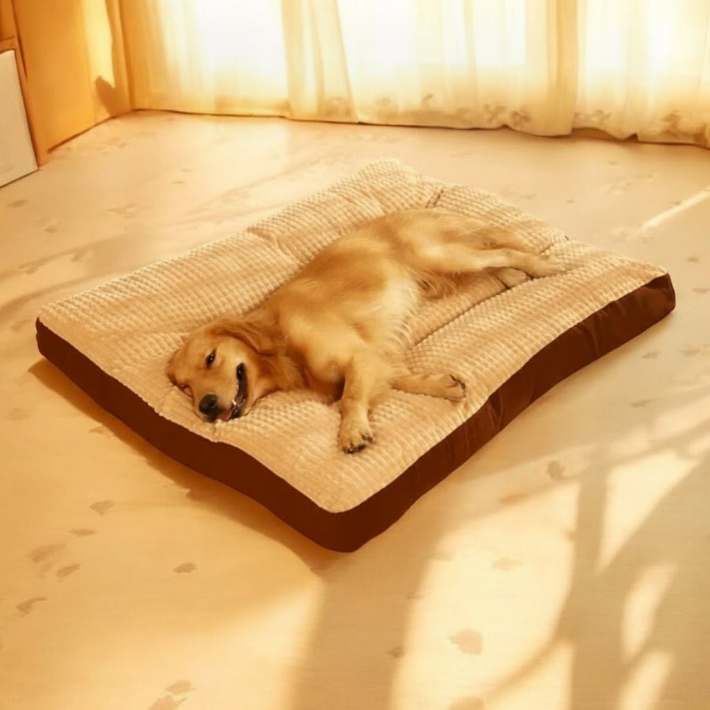 SLEEPDEN – Premium Dog Bed with Supportive Foam & Soft Cotton Cover