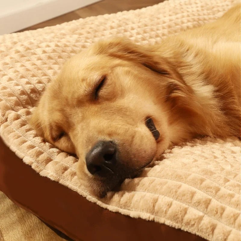 SLEEPDEN – Premium Dog Bed with Supportive Foam & Soft Cotton Cover