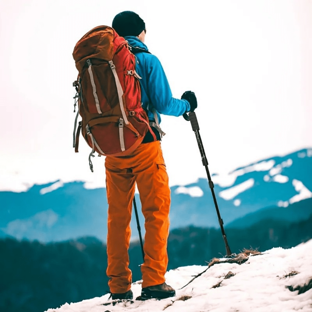 STEPALU – Lightweight Telescopic Hiking Poles with Comfort Non-Slip Handle