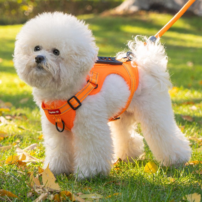 TAILRIVA – Comfortable Reflective Dog Harness for Secure and Stress-Free Walks