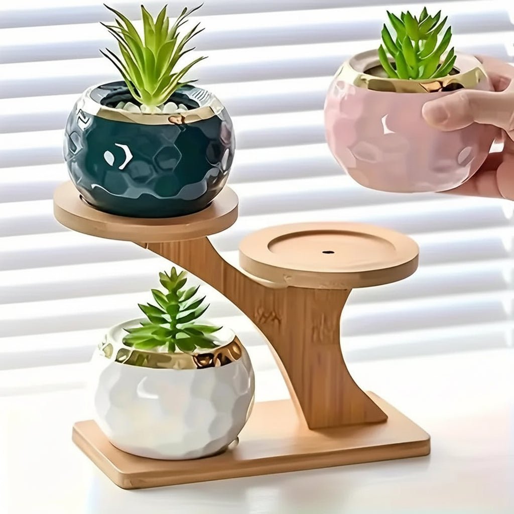 ZENRACK – Compact 2-Tier Bamboo Shelf for Home and Office Organization