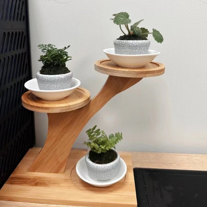 ZENRACK – Compact 2-Tier Bamboo Shelf for Home and Office Organization